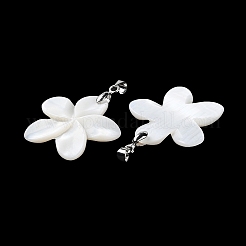 Natural Freshwater Shell Pendants&nbsp;BSHE-Z003-31P