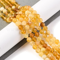 Natural Yellow Opal Beads Strands&nbsp;G-F770-C08-05