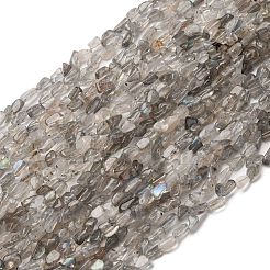 Natural Labradorite Beads Strands&nbsp;G-I389-A35-01B