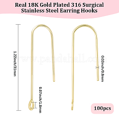 100Pcs 316 Surgical Stainless Steel Earring Hooks&nbsp;STAS-BBC0009-58