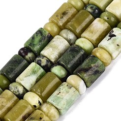 Natural Serpentine Beads Strands&nbsp;G-Q616-09H