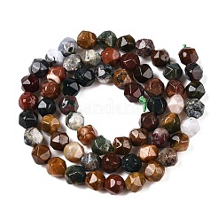 Natural Ocean Jasper Beads Strands&nbsp;G-T138-226
