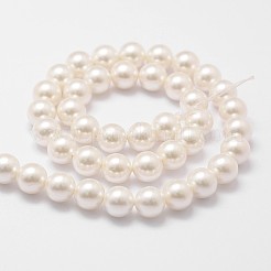 Shell Pearl Bead Strands&nbsp;X-BSHE-L026-03-6mm