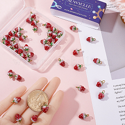 Alloy Enamel Charms&nbsp;ENAM-SC0004-25