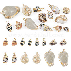 14Pcs 7 Styles Electroplated Natural Mixed Shell Pendants&nbsp;BSHE-TA0001-34A