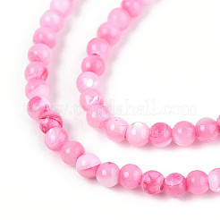 Dyed Natural Trochid Shell/Trochus Shell Beads Strands&nbsp;SSHEL-T017-13E