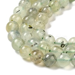 Natural Prehnite Beads Strands&nbsp;LS-G-S333-6mm-032