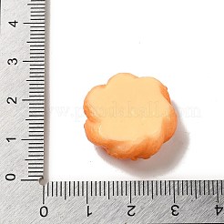 Opaque Resin Imitation Food Decoden Cabochons&nbsp;CRES-A058-02B
