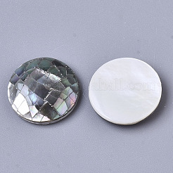 Natural Black Lip Shell Cabochons&nbsp;SSHEL-N034-46