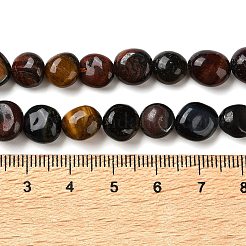 Three-Color Natural Tiger Eye Beads Strands&nbsp;G-C268-A04-8x10mm