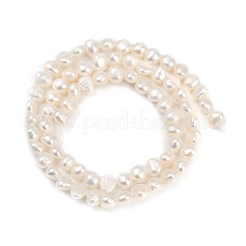 Natural Cultured Freshwater Pearl Beads Strands&nbsp;PEAR-P064-19D-13A