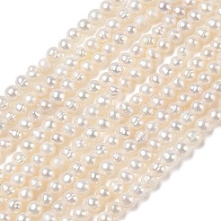 Natural Cultured Freshwater Pearl Beads Strands&nbsp;PA-CBAC463-23
