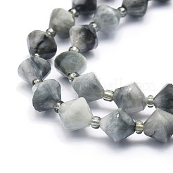 Natural Eagle Eye Stone Beads Strands&nbsp;G-E569-C10