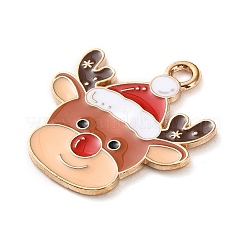 Alloy Enamel Pendants&nbsp;ENAM-B030-02G-06