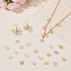 Frosted Acrylic Charms&nbsp;PALLOY-AR00037