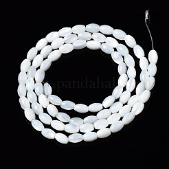 Natural Trochid Shell/Trochus Shell Beads Strands&nbsp;SSHEL-S266-021A-01
