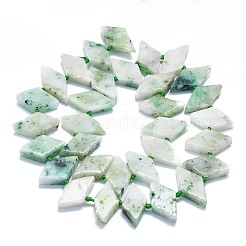 Natural Seaame Jasper Beads Strands&nbsp;G-K245-E06-01
