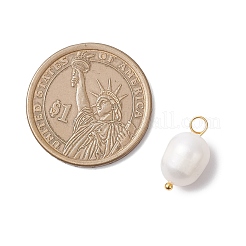 Natural Cultured Freshwater Pearl Pendants&nbsp;PALLOY-JF04381-01