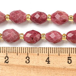 Natural Rhodonite Beads Strands&nbsp;G-N342-38