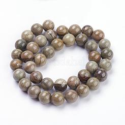 Natural Silver Leaf Jasper Beads Strands&nbsp;G-F520-45-6mm