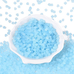 FGB Frosted Transparent Glass Seed Beads&nbsp;SEED-N013-03A-11