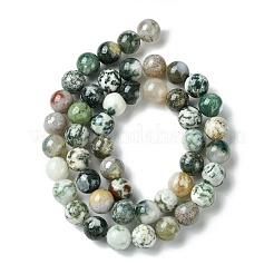 Natural Tree Agate Round Gemstone Beads Strands&nbsp;G-R255-8mm