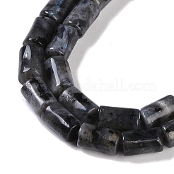 Natural Larvikite Beads Strands&nbsp;G-C128-A03-01