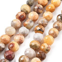 Natural Crazy Agate Beads Strands&nbsp;G-C179-A22-02