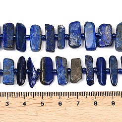 Natural Lapis Lazuli Beads Strands&nbsp;G-K393-B05
