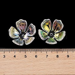 Transparent Acrylic Caps&nbsp;MACR-K358-08E