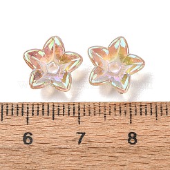 Transparent Acrylic Bead Caps&nbsp;AC-CBA1E6C-06B