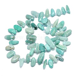 Natural Amazonite Beads Strands&nbsp;G-G106-J03-01