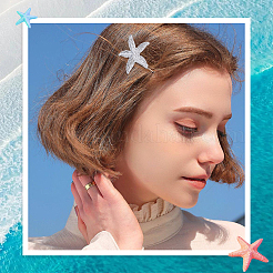 4Pcs 2 Colors Zinc Alloy Hair Barrettes&nbsp;PHAR-SP0001-24
