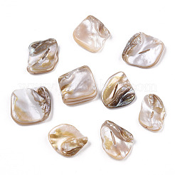 Freshwater Shell Beads&nbsp;X-SSHEL-T005-11