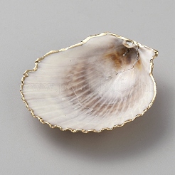 Electroplated Natural Shell Pendants&nbsp;FIND-WH20019-54D