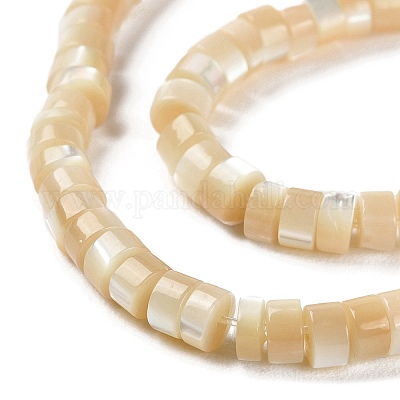 Natural Trochus Shell Beads Strands&nbsp;BSHE-E030-09B-02-1
