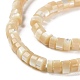Natural Trochus Shell Beads Strands&nbsp;BSHE-E030-09B-02-3