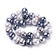 Shell Pearl Beads Strands&nbsp;BSHE-L035-E04-3