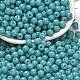 Opaque Colours Glass Seed Beads&nbsp;SEED-C001-02B-16-1