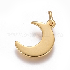 304 Stainless Steel Pendants&nbsp;X-STAS-D0002-24G