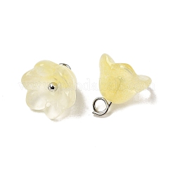 Glass Charms&nbsp;GLAA-G127-03B