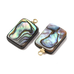 Natural Abalone Shell Pendants&nbsp;SH-CJC0AC7-01H-G