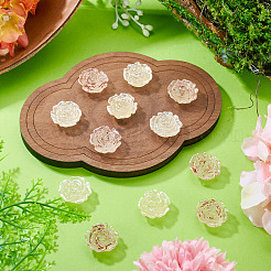 12Pcs 2 Colors Transaprent Resin Enamel Cabochons&nbsp;CRES-TA0001-91