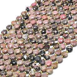 Natural Rhodonite Beads Strands&nbsp;G-C116-A83-02