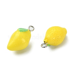 Opaque Resin Pendants&nbsp;RESI-YW0001-29