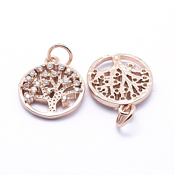Brass Micro Pave Cubic Zirconia Charms&nbsp;X-ZIRC-L070-06RG