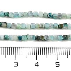 Natural Chrysocolla Beads Strands&nbsp;G-H042-B29-01