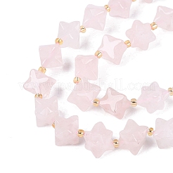Natural Rose Quartz Beads Strands&nbsp;G-Q608-07A-02