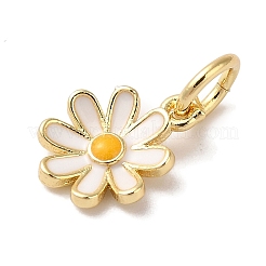 Brass Enamel Charms&nbsp;KK-L216-006G-01