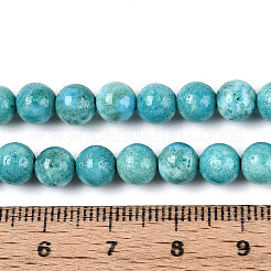 Dyed Synthetic Fossil Beads Strands&nbsp;G-T139-6mm-66F